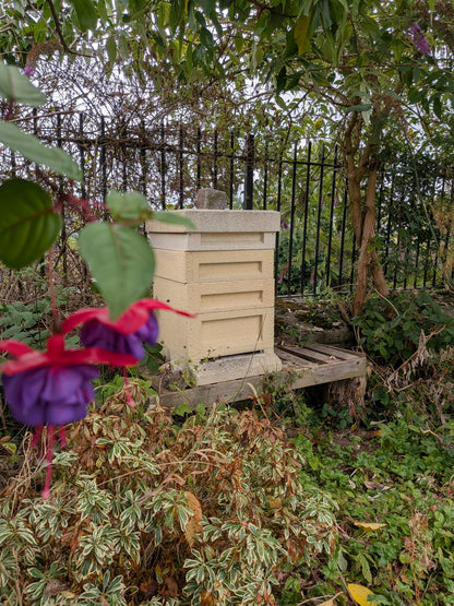 Dal-bee-ttie Honey