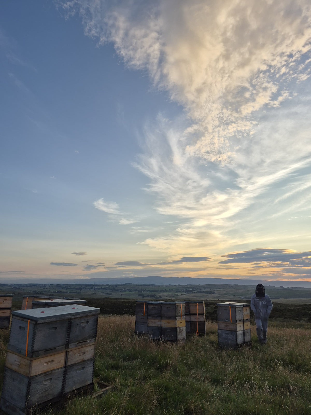 Lowther Castle Heather Honey