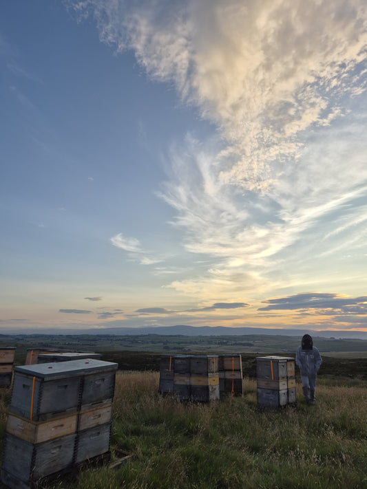 Lowther Castle Heather Honey
