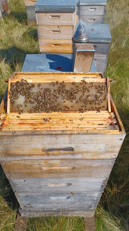 Lowther Castle Wildflower Honey