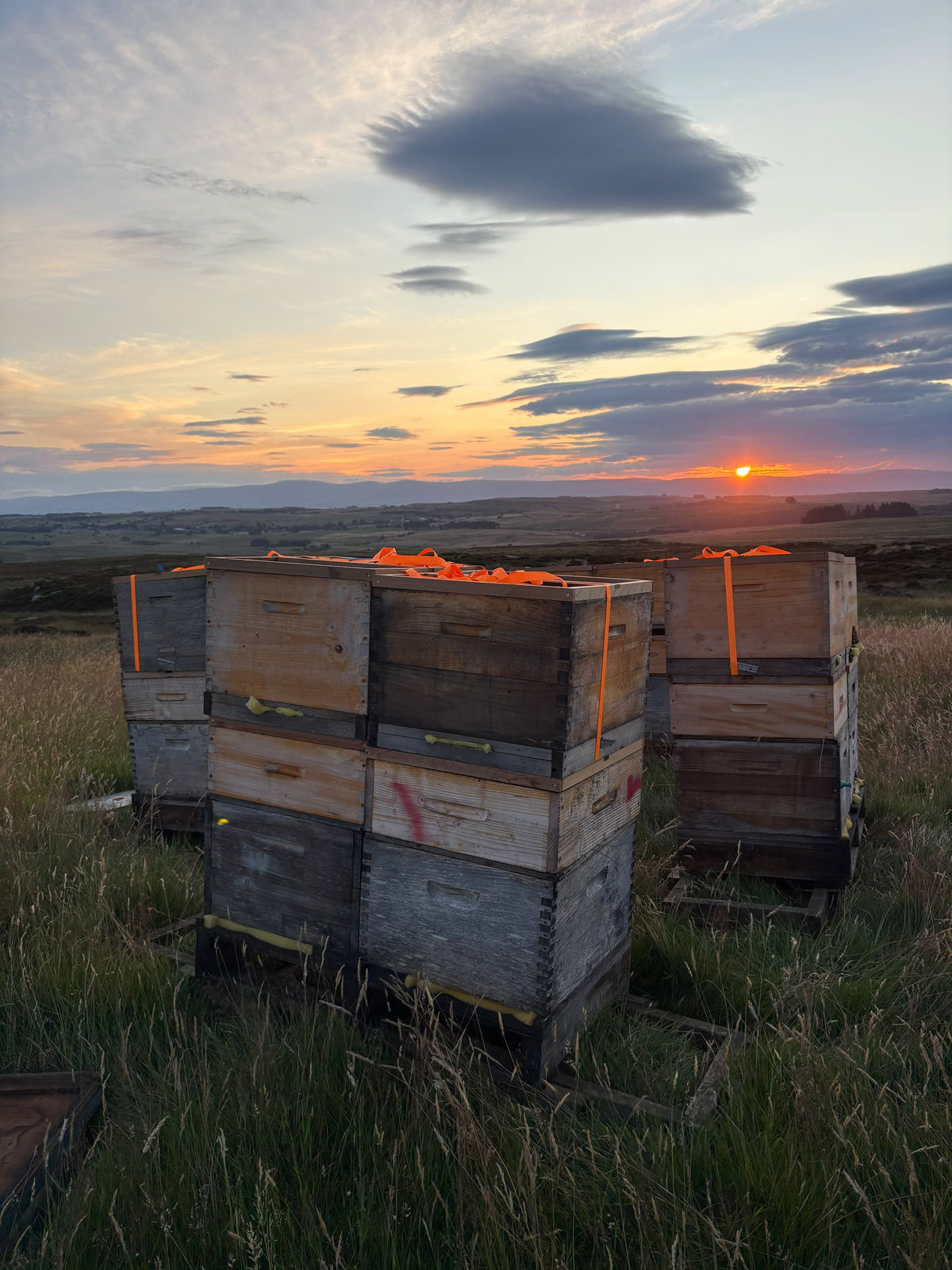 Lowther Castle Heather Honey