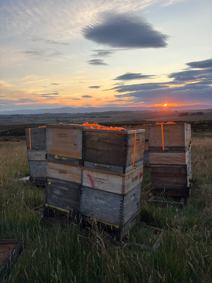 Lowther Castle Heather Honey
